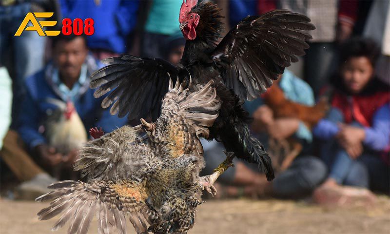 32Win có giấy phép hợp lệ không? - 32Win