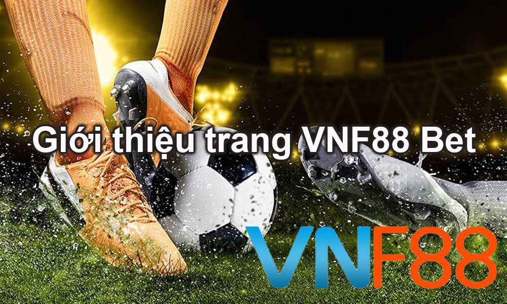 Tuyển tập các khu cắm trại hạng Ev8 nổi tiếng - Ev8