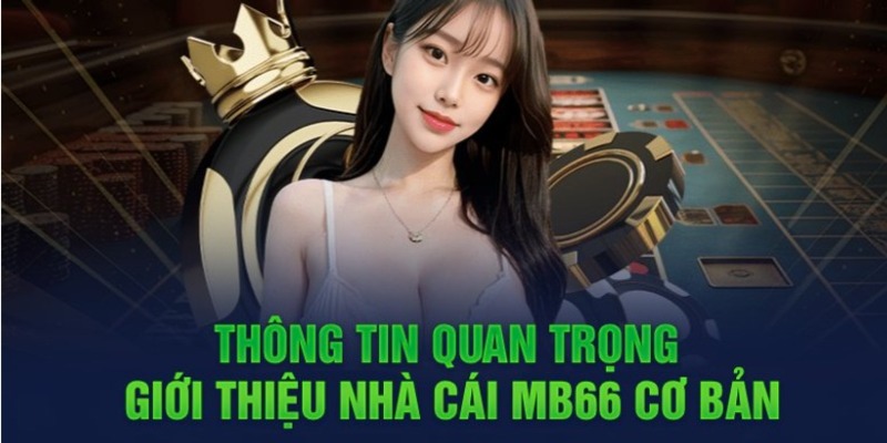 Thể thức trận đấu bóng đá cấp độ 97Win - 97Win