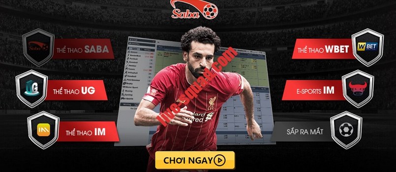 Hãy xem qua những ưu đãi và chương trình khuyến mãi tuyệt vời mà S666 Online cung cấp - S666