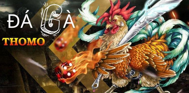 Kiểm tra độ tin cậy của các trang web chơi game được xếp hạng Fa88 - Fa88