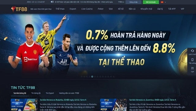 Giấy chứng nhận hoạt động của tổ chức quốc tế 2Q - 2Q