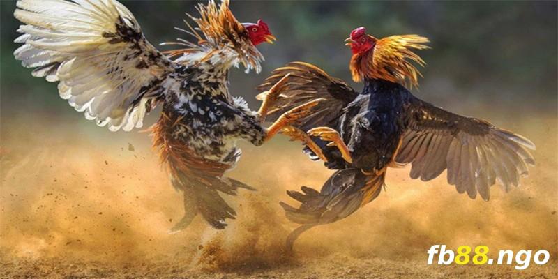 Trang web Cm88 Games có một số ưu điểm độc đáo - Cm88