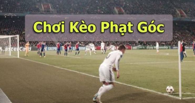 Liệu có phù hợp để chơi trò chơi Bắn Cá May Mắn tại một sòng bạc hạng Vn138 không? - Vn138